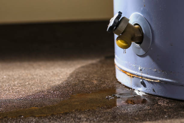 Best Basement water damage restoration  in South Hill, VA