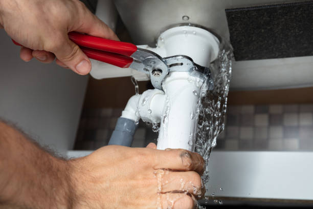 Best Water damage restoration cost  in South Hill, VA