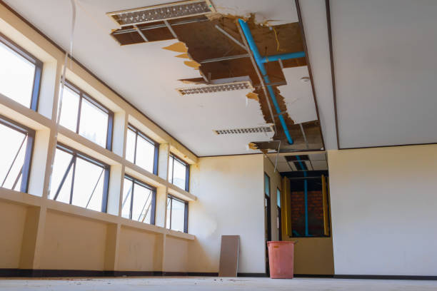 Best 24/7 water damage repair  in South Hill, VA