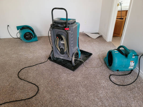 Best Water damage restoration near me  in South Hill, VA