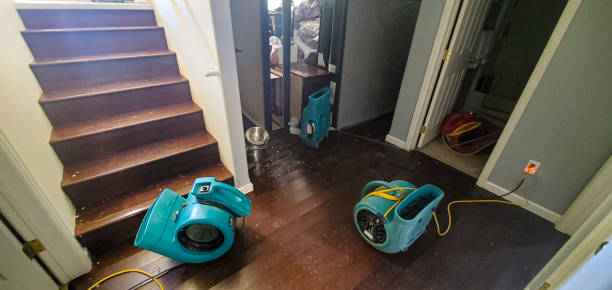 Best Water damage restoration specialists  in South Hill, VA