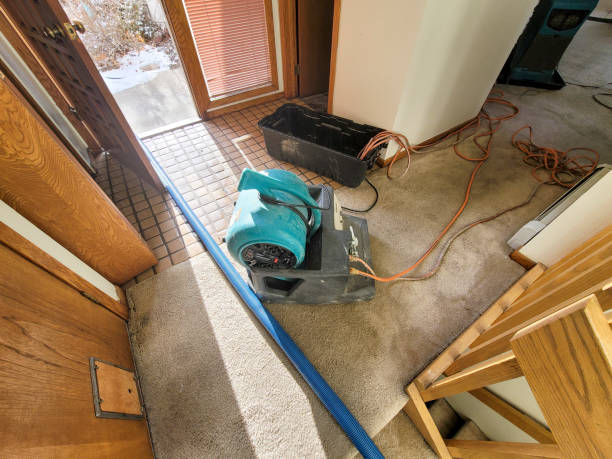 Best Professional water damage repair  in South Hill, VA